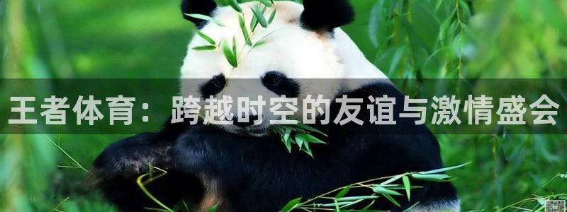 王者体育：跨越时空的友谊与激情盛会