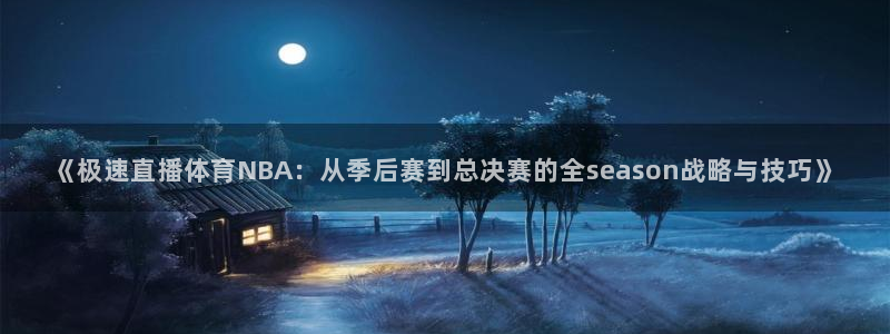 《极速直播体育NBA：从季后赛到总决赛的全season战略与技巧》