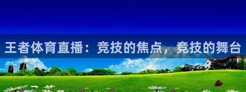 王者体育直播：竞技的焦点，竞技的舞台