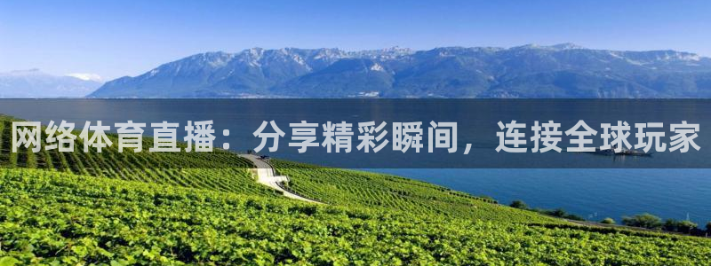 网络体育直播：分享精彩瞬间，连接全球玩家