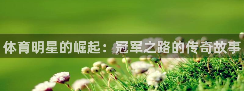 体育明星的崛起：冠军之路的传奇故事