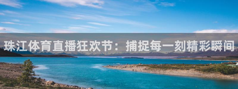 珠江体育直播狂欢节：捕捉每一刻精彩瞬间