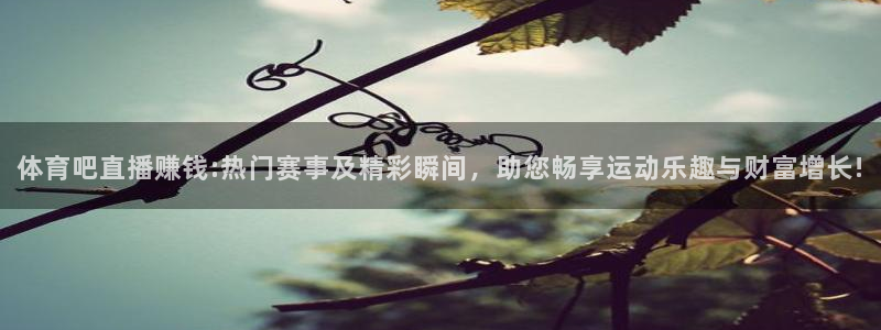 体育吧直播赚钱:热门赛事及精彩瞬间，助您畅享运动乐趣与财富增长!