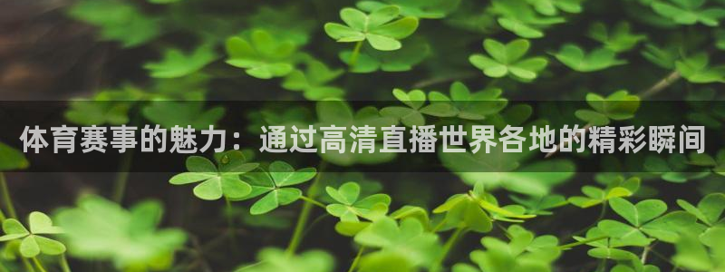 体育赛事的魅力：通过高清直播世界各地的精彩瞬间