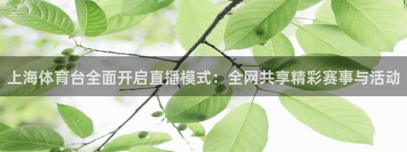 上海体育台全面开启直播模式：全网共享精彩赛事与活动