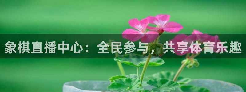 象棋直播中心：全民参与，共享体育乐趣