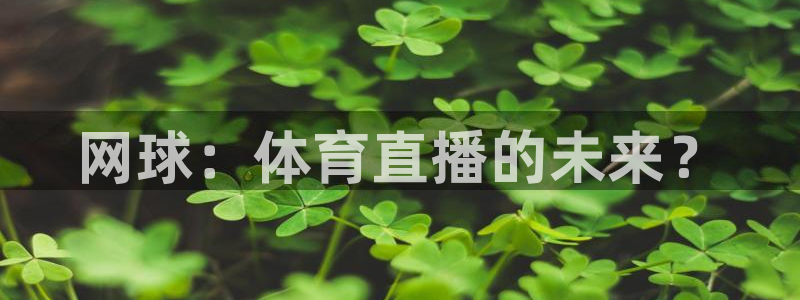 网球：体育直播的未来？