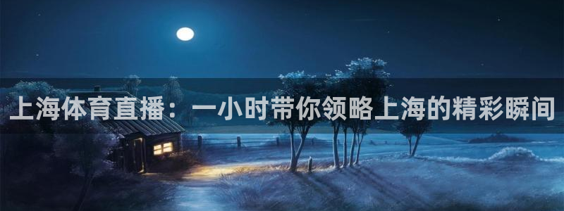 上海体育直播：一小时带你领略上海的精彩瞬间