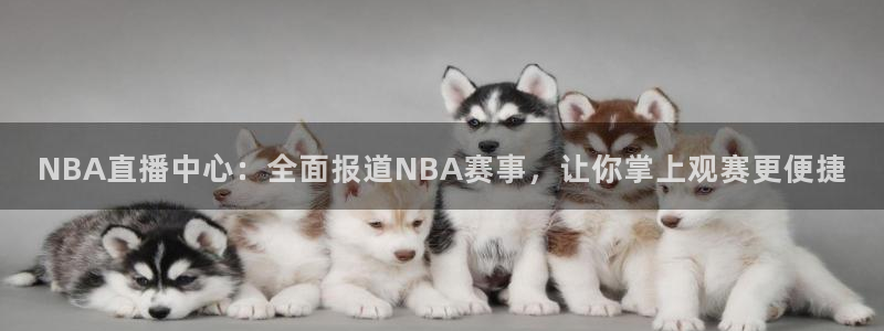 NBA直播中心：全面报道NBA赛事，让你掌上观赛更便捷