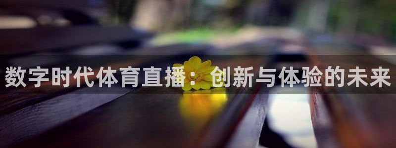 数字时代体育直播：创新与体验的未来