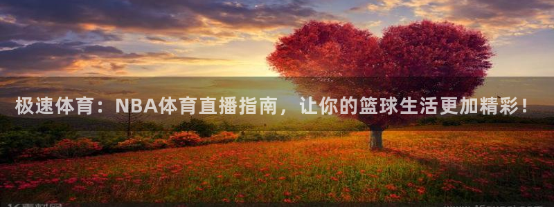 极速体育：NBA体育直播指南，让你的篮球生活更加精彩！