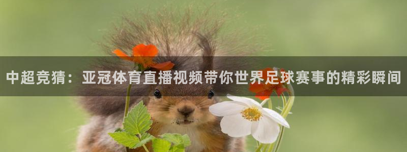 中超竞猜：亚冠体育直播视频带你世界足球赛事的精彩瞬间