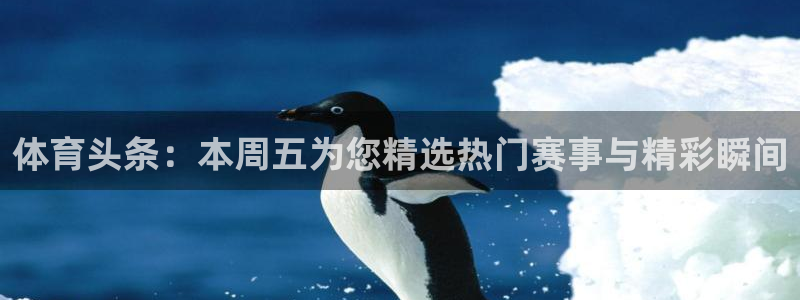 体育头条：本周五为您精选热门赛事与精彩瞬间