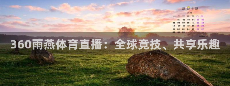 360雨燕体育直播：全球竞技、共享乐趣