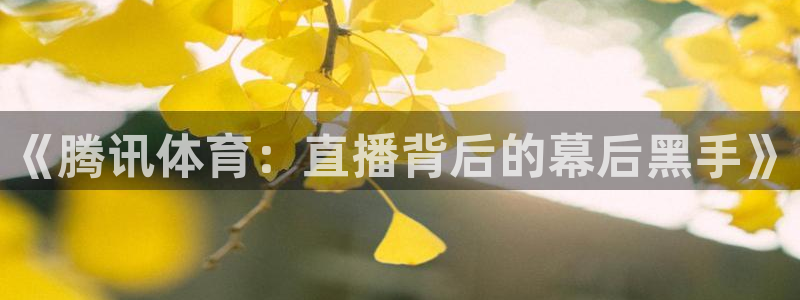 《腾讯体育：直播背后的幕后黑手》