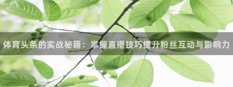 体育头条的实战秘籍：掌握直播技巧提升粉丝互动与影响力