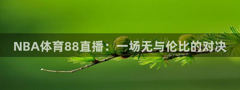 NBA体育88直播：一场无与伦比的对决
