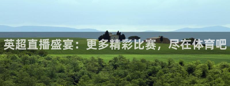 英超直播盛宴：更多精彩比赛，尽在体育吧