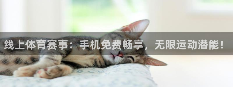 线上体育赛事：手机免费畅享，无限运动潜能！