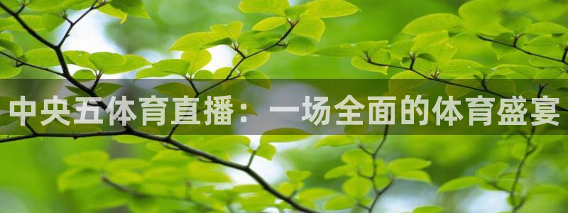 中央五体育直播：一场全面的体育盛宴