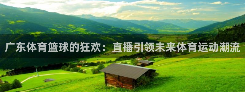 广东体育篮球的狂欢：直播引领未来体育运动潮流