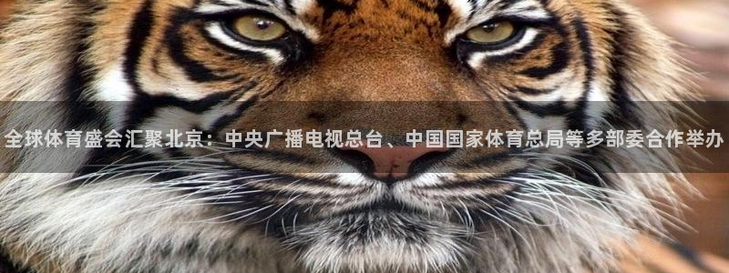 全球体育盛会汇聚北京：中央广播电视总台、中国国家体育总局等多部委合作举办