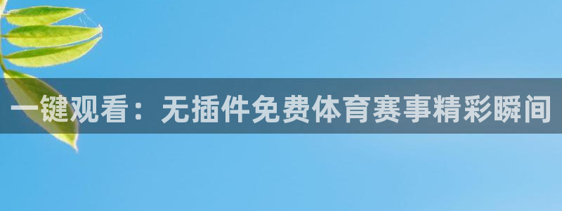 一键观看：无插件免费体育赛事精彩瞬间