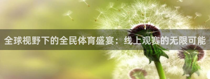 全球视野下的全民体育盛宴：线上观赛的无限可能