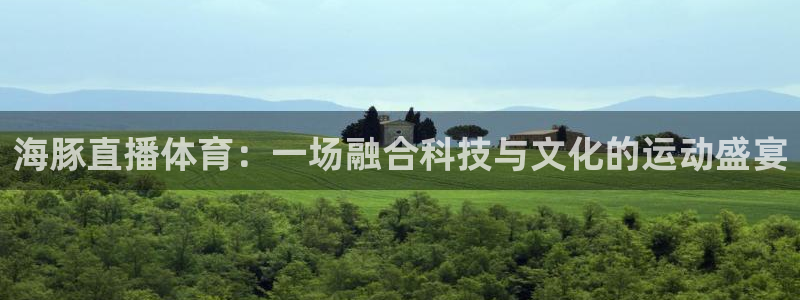 海豚直播体育：一场融合科技与文化的运动盛宴