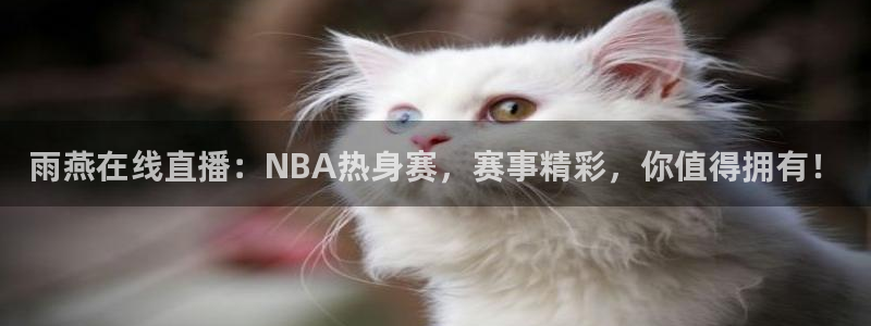 雨燕在线直播：NBA热身赛，赛事精彩，你值得拥有！