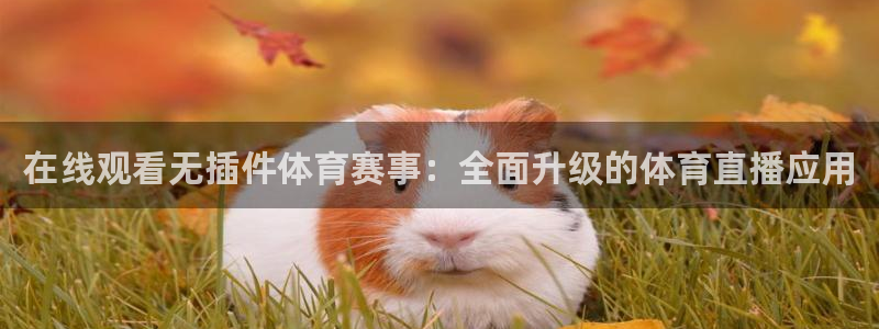 在线观看无插件体育赛事：全面升级的体育直播应用